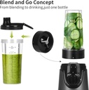 la-reveuse-300-watts-smoothie-blender-la-4.jpg