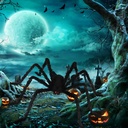 halloween-outdoor-decorations-giant-spid-5.jpg