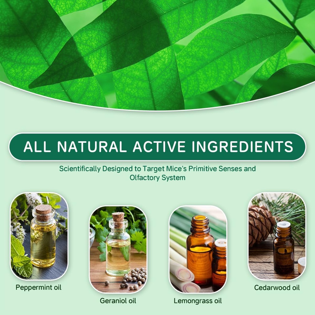 rodent-mouse-repellent-14-pack-peppermin-2.jpg