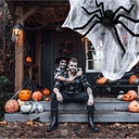 halloween-outdoor-decorations-giant-spid-6.jpg