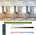 ceiling-fans-with-lights-52-low-profile--5.jpg