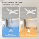 ceiling-fans-with-lights-52-low-profile--6.jpg