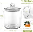 masthome-1-gallon-glass-jar-with-lidlarg-2.jpg