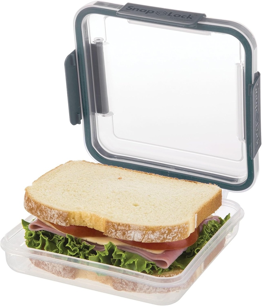 snaplock-by-progressive-sandwich-to-go-c-2.jpg
