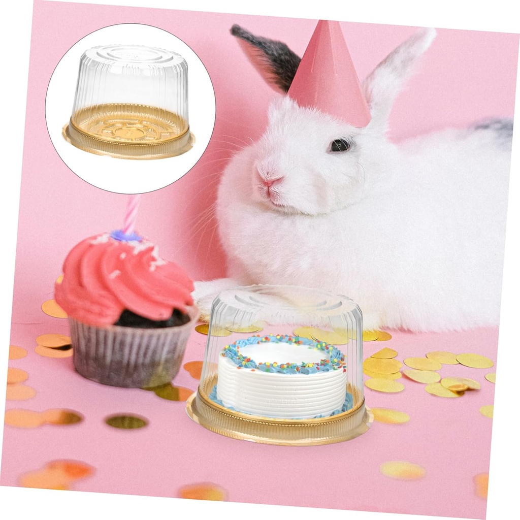 20pcs-transparent-plastic-cake-carriers--3.jpg