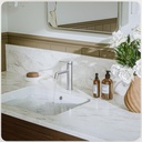 phiestina-brushed-nickel-bathroom-sink-f-2.jpg