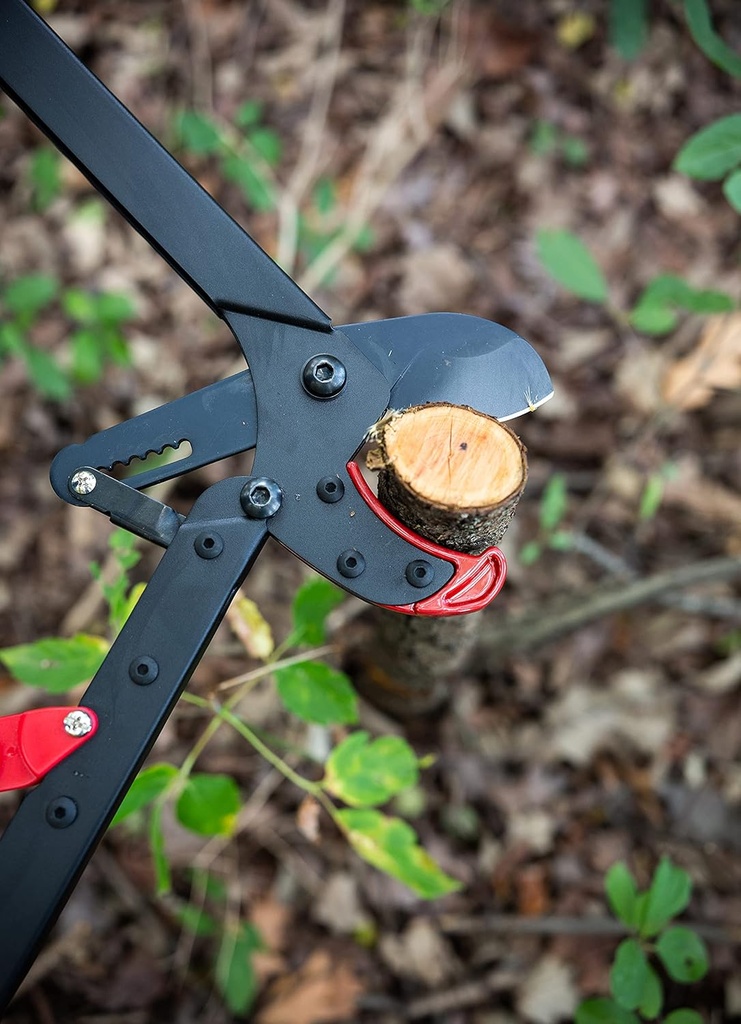 ez-kut-branchcutter-anvil-loppers-ratche-5.jpg