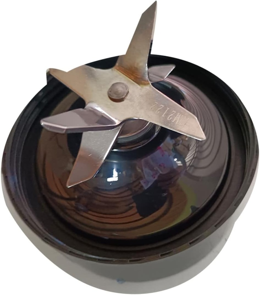 ciieeo-nutri-blender-extractor-blade-hol-6.jpg