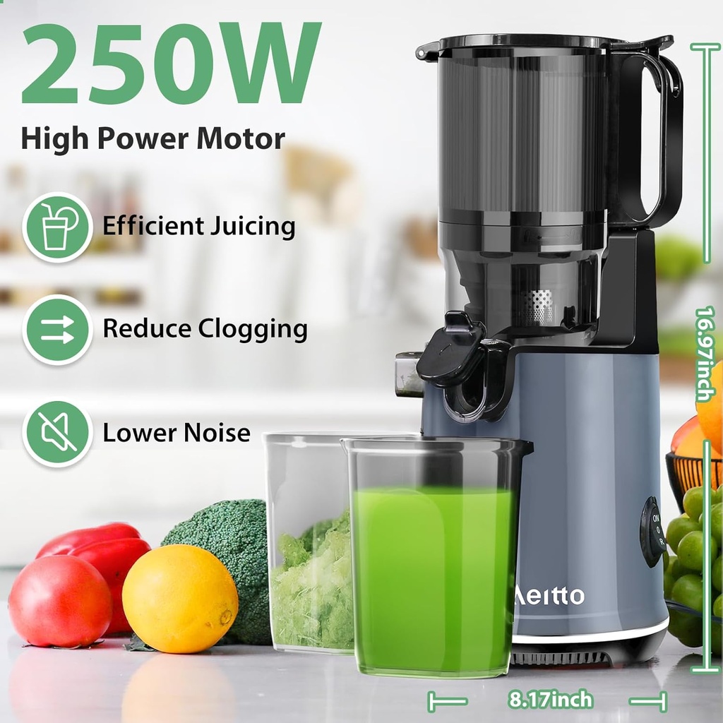 aeitto-juicer-machines-cold-press-juicer-3.jpg
