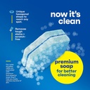 disposable-prefilled-toilet-cleaning-scr-3.jpg