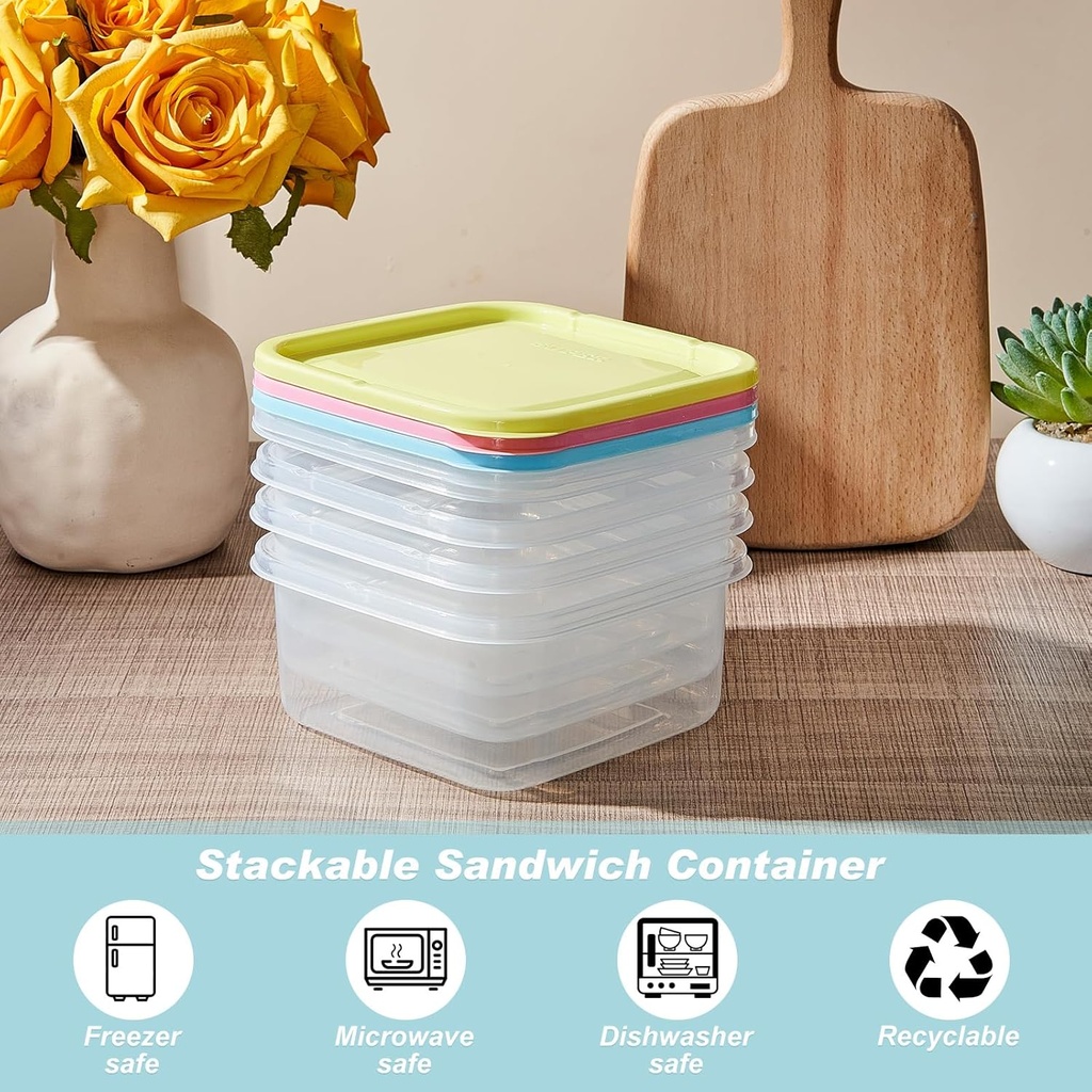8-pcs-sandwich-containers-colorful-sandw-3.jpg