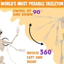 joyin-36-halloween-skeleton-decor-3ft-fu-4.jpg