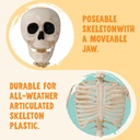 joyin-36-halloween-skeleton-decor-3ft-fu-5.jpg
