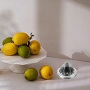 cabilock-stainless-steel-manual-citrus-j-6.jpg