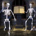 59ft-halloween-skeleton-posable-skeleton-5.jpg