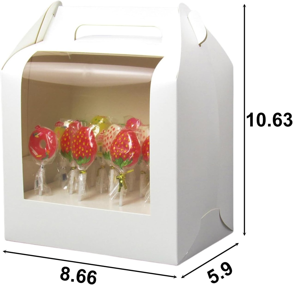 8-pcs-cake-pop-boxes---portable-cake-pop-4.jpg