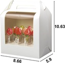 8-pcs-cake-pop-boxes---portable-cake-pop-4.jpg
