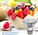 par20-bulbs-2-pcs-120v-50w-par20-light-b-4.jpg