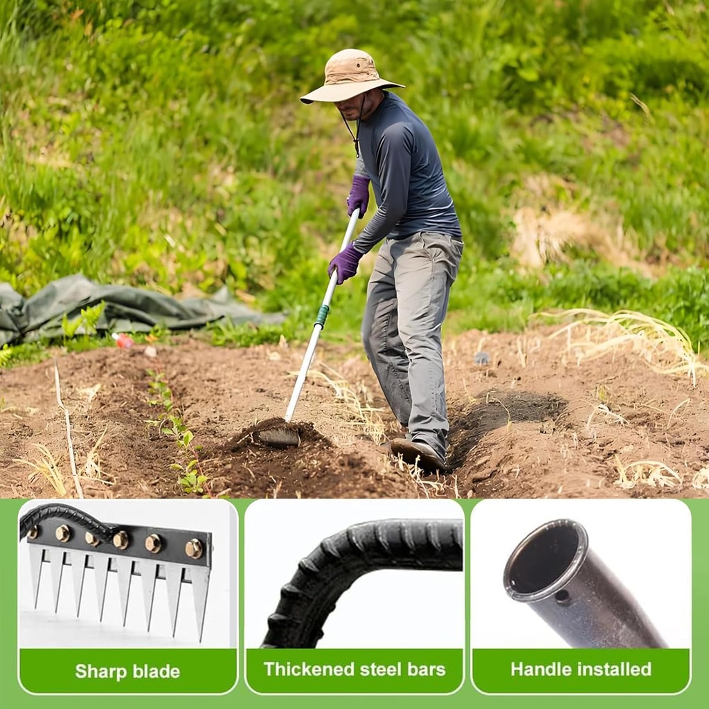 gardenia-iron-weeding-rake-hand-weeder-p-4.jpg