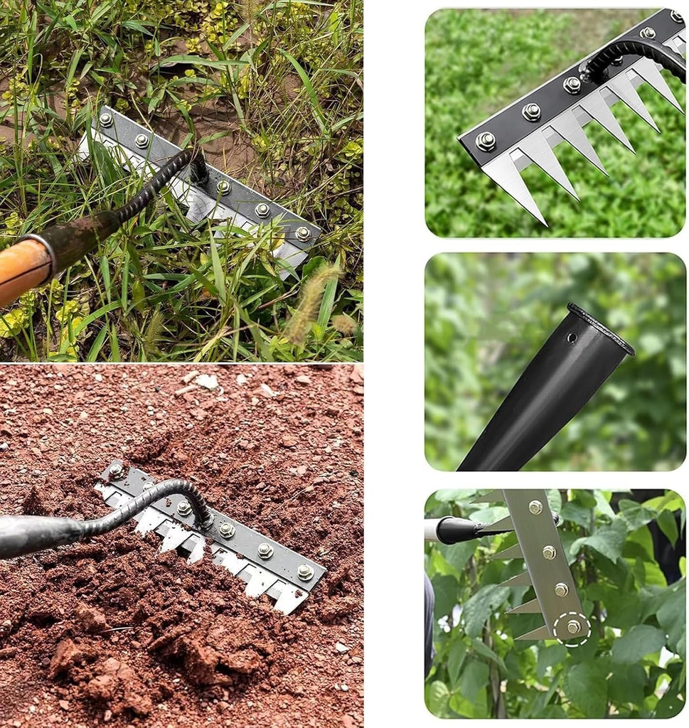gardenia-iron-weeding-rake-hand-weeder-p-6.jpg