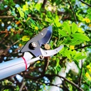54-148-ft-tree-pruner-extendable-4-secti-6.jpg