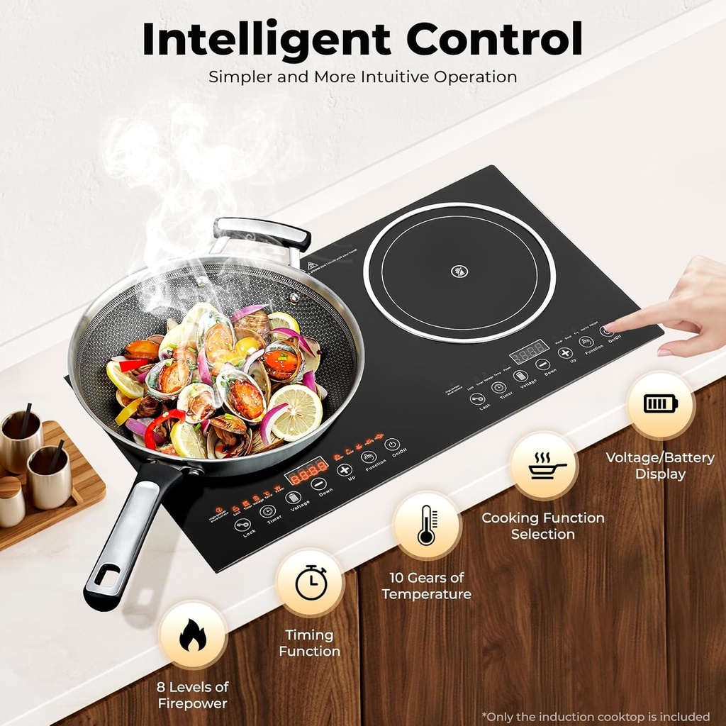 portable-induction-cooktop-countertop-el-3.jpg