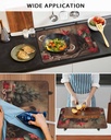 western-christmas-induction-cooktop-prot-6.jpg