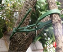 300-pcs-adjustable-plant-ties-flexible-g-6.jpg