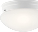 kichler-ceiling-space-9-2-light-flush-mo-4.jpg