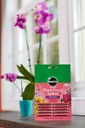 miracle-gro-orchid-plant-food-spikes-3-4.jpg
