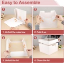 2-pack-cake-boxes-with-cake-boards-12-in-4.jpg