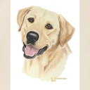 cafepress-yellow-labrador-tote-bag-natur-2.jpg