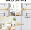 goldenwarm-gold-door-handles-interior-pr-4.jpg