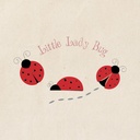 cafepress-little-lady-bug-tote-bag-reusa-2.jpg