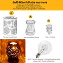 wax-warmer-bulbs-6-pack-g50-25-watt-ligh-4.jpg