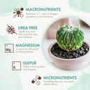 the-grow-co-succulents-cactus-plant-food-4.jpg