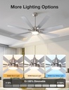 warmiplanet-ceiling-fans-with-lights-and-5.jpg