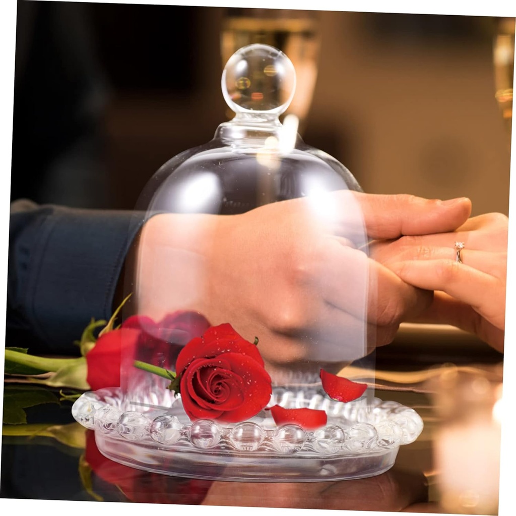 small-glass-cake-stand-with-dome-cover-d-5.jpg