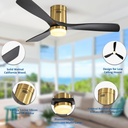 caci-mall-ceiling-fan-with-lights-and-re-5.jpg