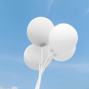 asiyuhy-white-balloons-100-pack-12-inch--5.jpg