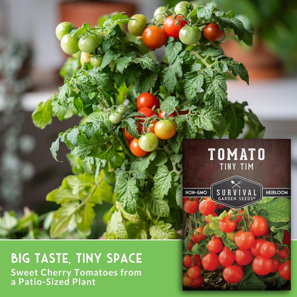 survival-garden-seeds---tiny-tim-tomato--5.jpg