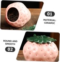 ceramic-strawberry-shape-tea-canister-wi-2.jpg