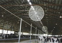 j-d-mfg-barnstormer-recirculation-fan--2-3.jpg