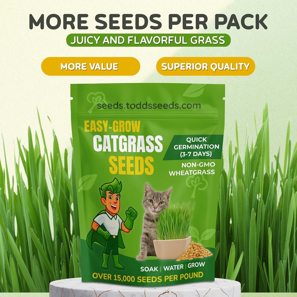 todds-seeds-cat-grass-for-indoor-or-outd-2.jpg