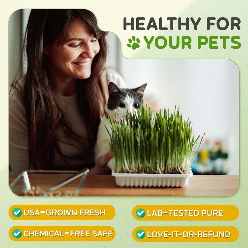 todds-seeds-cat-grass-for-indoor-or-outd-6.jpg