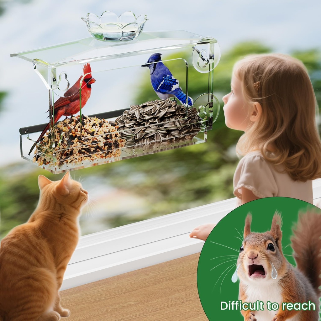 window-bird-feeder-for-outdoors-clear-ac-5.jpg