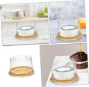 lightweight-compact-cake-boxes-cake-carr-4.jpg
