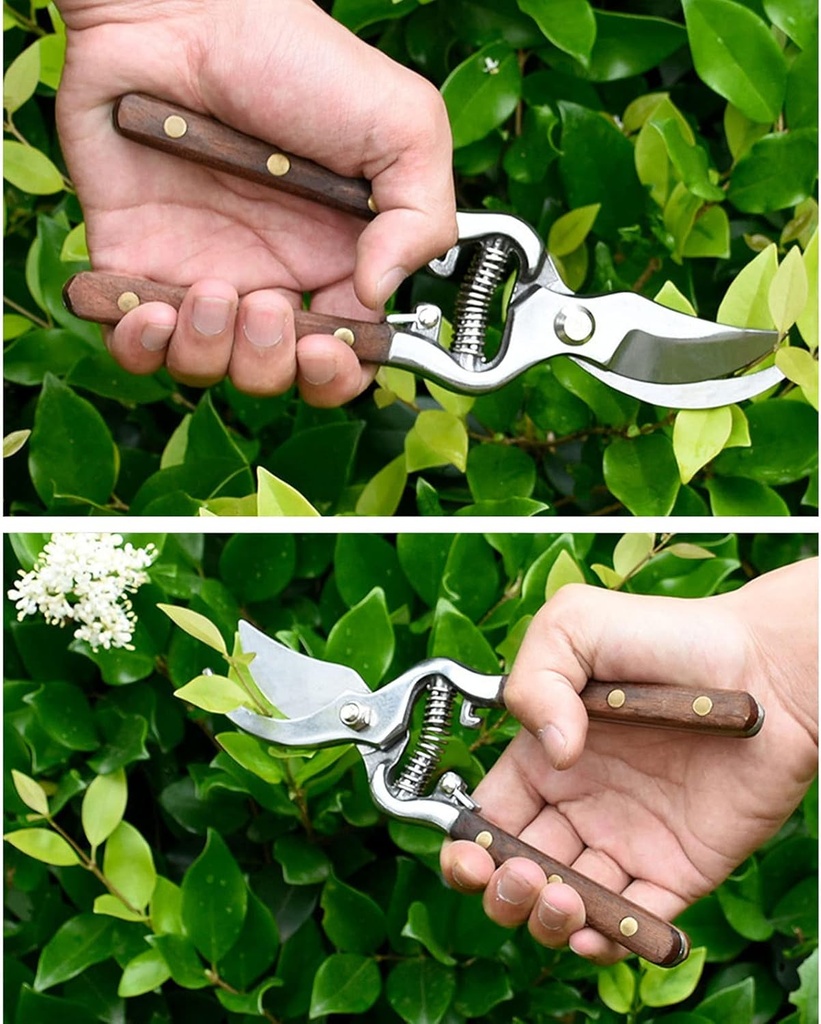 lightweight-wooden-handle-pruning-floral-5.jpg
