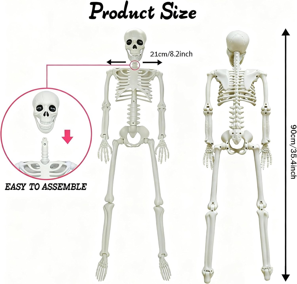 lukbera-2-pack-3-ft-halloween-skeleton-p-2.jpg