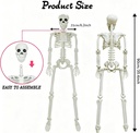 lukbera-2-pack-3-ft-halloween-skeleton-p-2.jpg